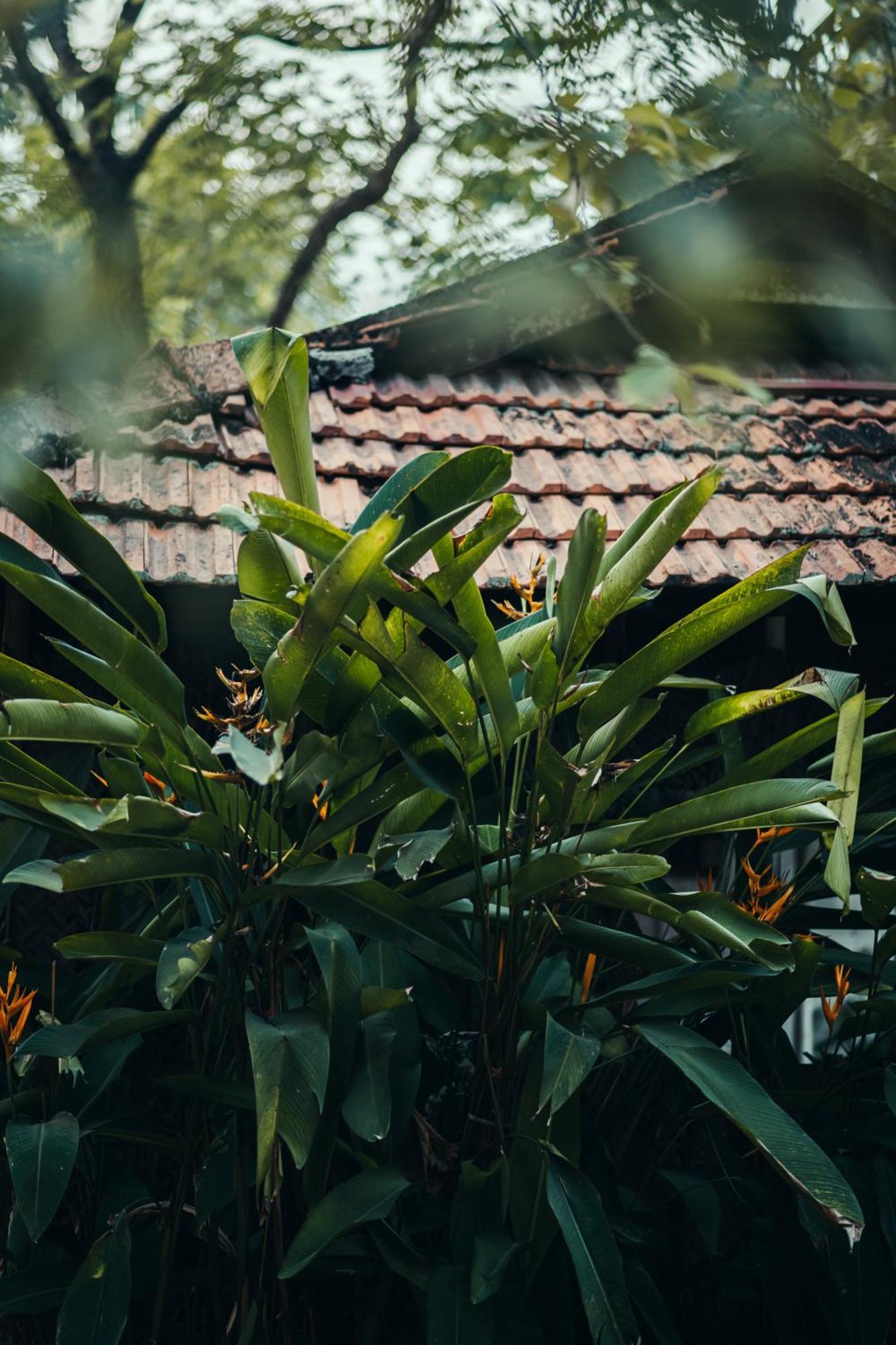 Paddlecult Surf Retreat Bed and Breakfast Varkala Buitenkant foto