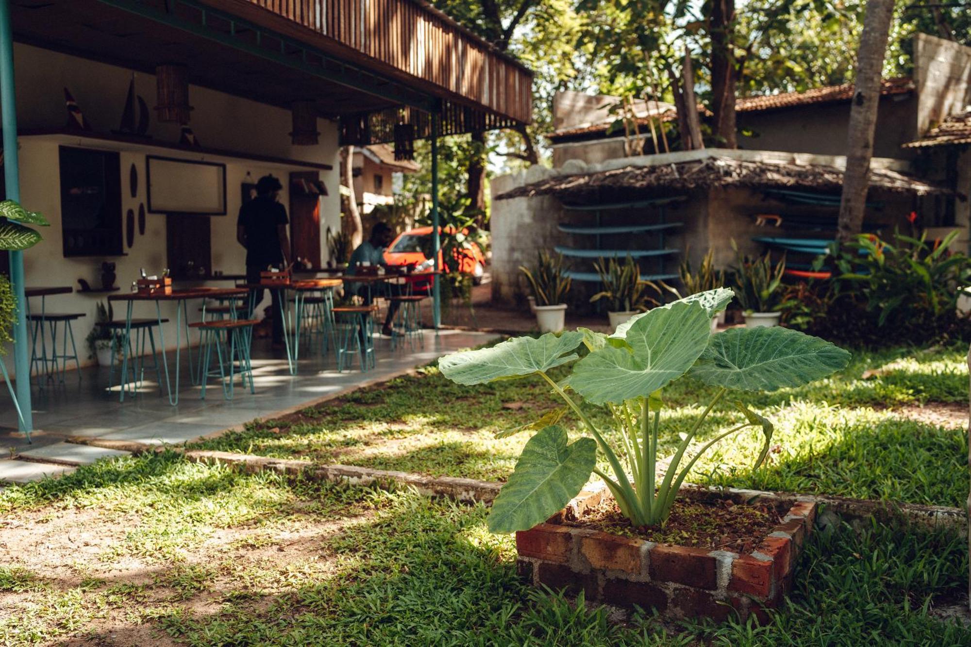 Paddlecult Surf Retreat Bed and Breakfast Varkala Buitenkant foto