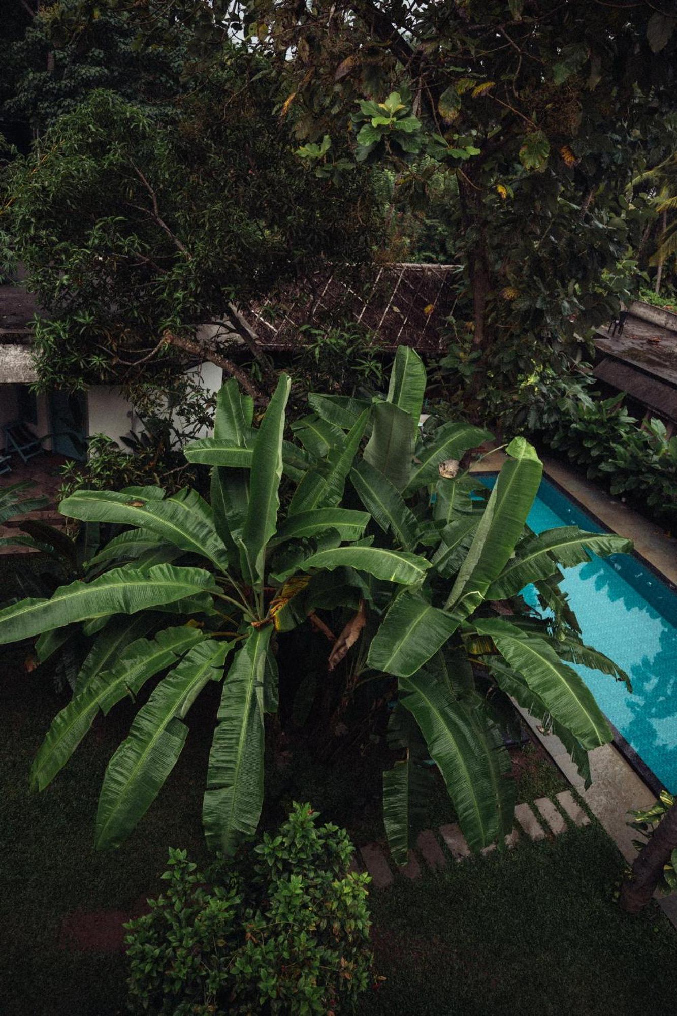 Paddlecult Surf Retreat Bed and Breakfast Varkala Buitenkant foto